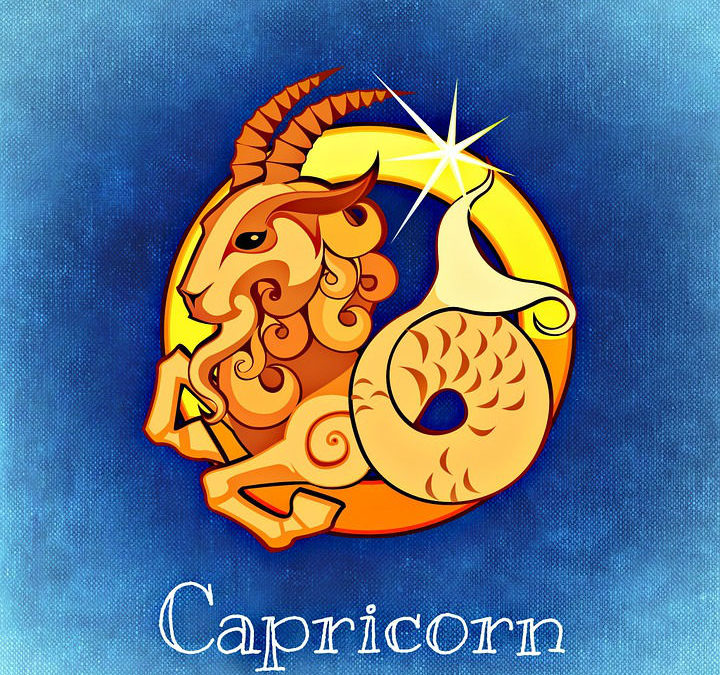 portrait astrologie capricorne