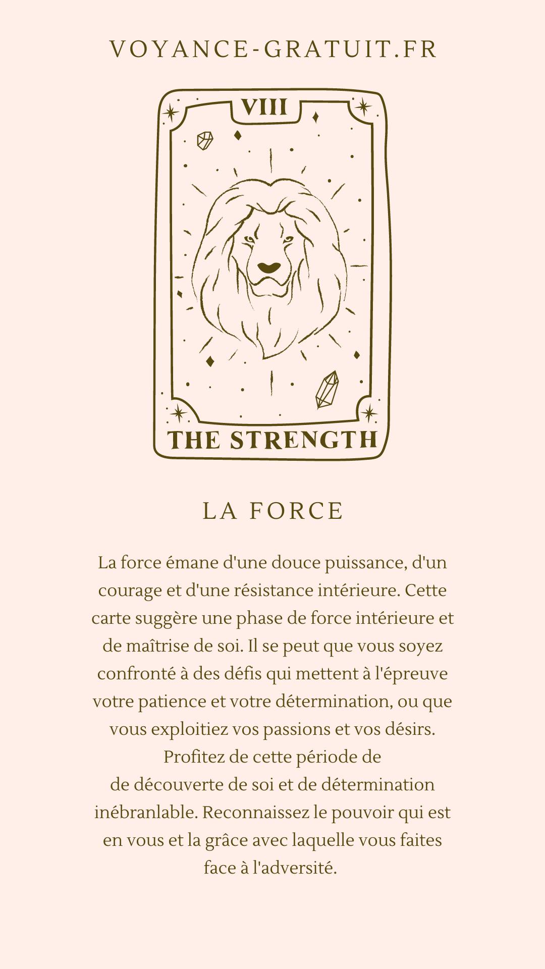 Explication de la carte de la force
