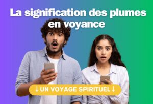 La signification des plumes en voyance